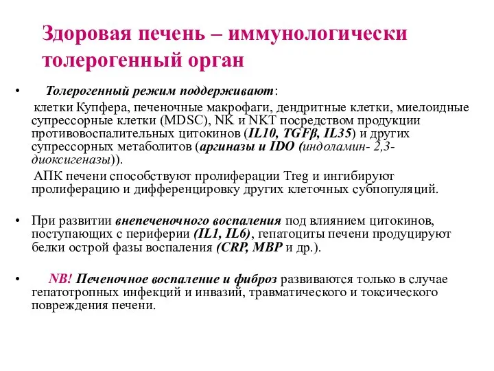 Здоровая печень – иммунологически толерогенный орган Толерогенный режим поддерживают: клетки Купфера, печеночные