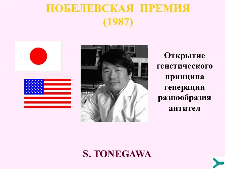 НОБЕЛЕВСКАЯ ПРЕМИЯ (1987) S. TONEGAWA Открытие генетического принципа генерации разнообразия антител