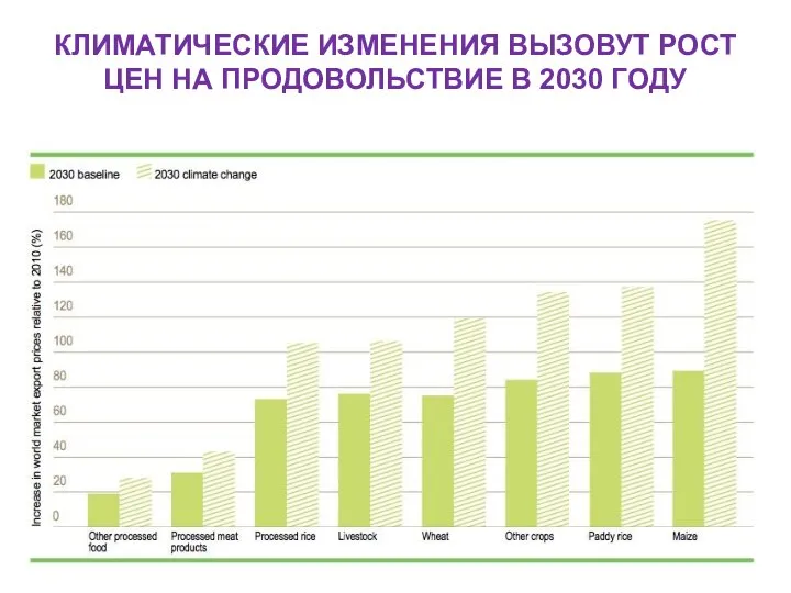 КЛИМАТИЧЕСКИЕ ИЗМЕНЕНИЯ ВЫЗОВУТ РОСТ ЦЕН НА ПРОДОВОЛЬСТВИЕ В 2030 ГОДУ