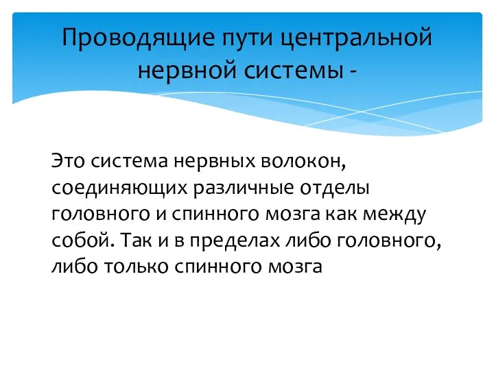 Это система нервных волокон, соединяющих различные отделы головного и спинного мозга как