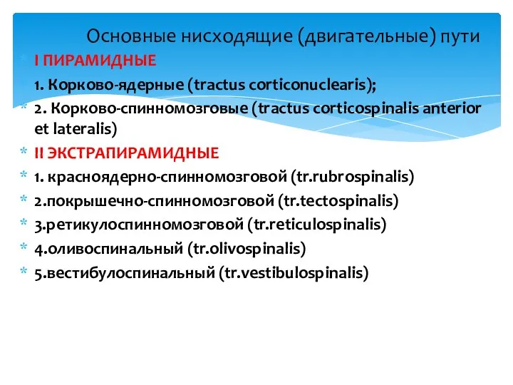 I ПИРАМИДНЫЕ 1. Корково-ядерные (tractus corticonuclearis); 2. Корково-спинномозговые (tractus corticospinalis anterior et