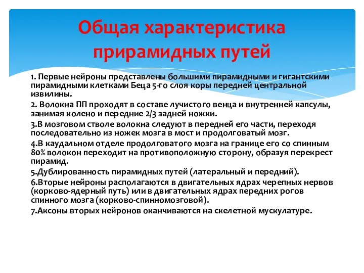 1. Первые нейроны представлены большими пирамидными и гигантскими пирамидными клетками Беца 5-го