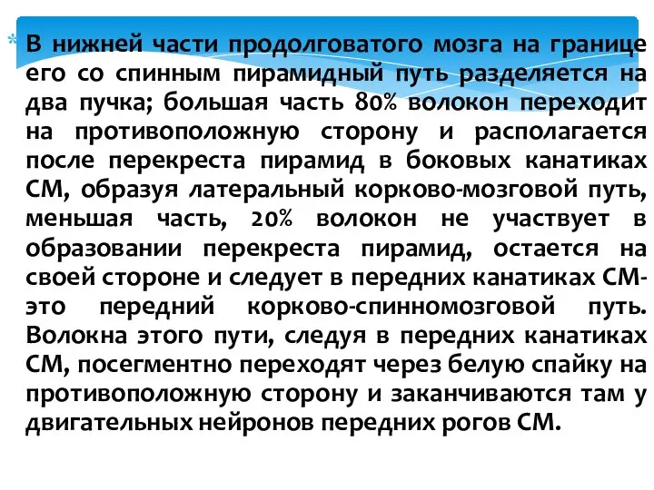 В нижней части продолговатого мозга на границе его со спинным пирамидный путь