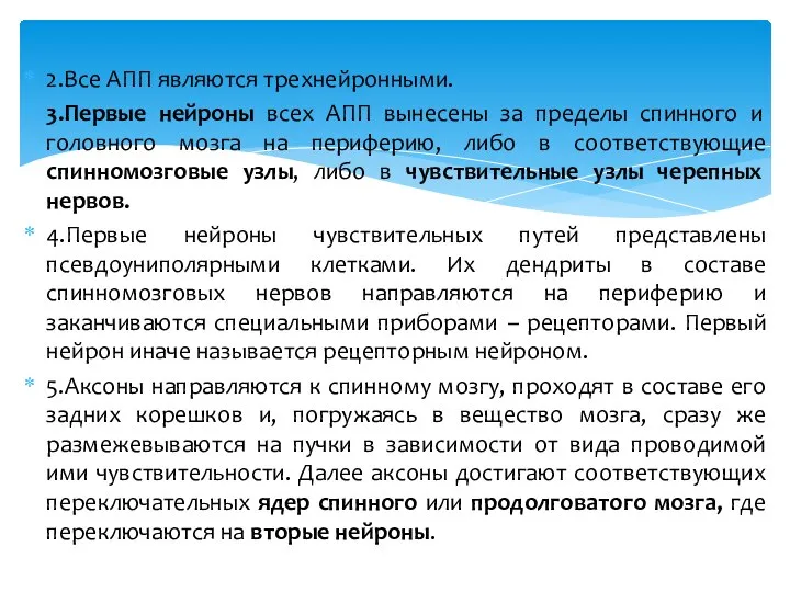 2.Все АПП являются трехнейронными. 3.Первые нейроны всех АПП вынесены за пределы спинного