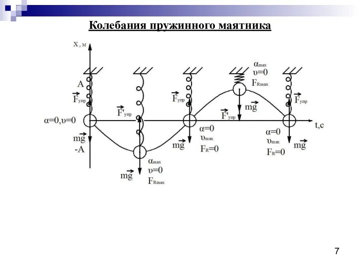 Колебания пружинного маятника 7