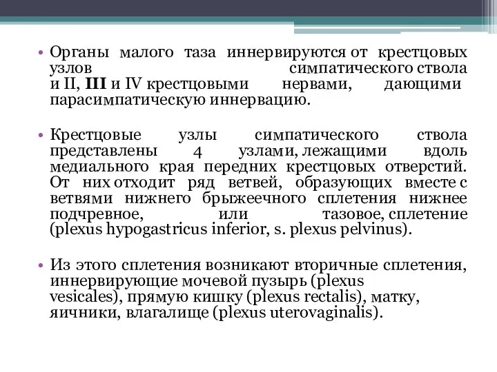 Органы малого таза иннервируются от крестцовых узлов симпатического ствола и II, III