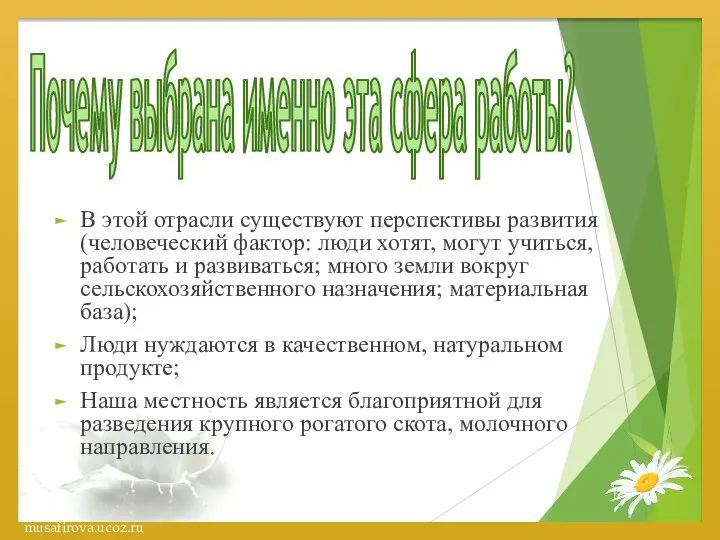 Почему выбрана именно эта сфера работы? В этой отрасли существуют перспективы развития