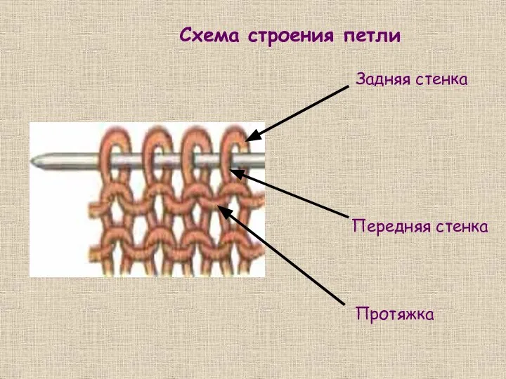 Задняя стенка Передняя стенка Протяжка Схема строения петли