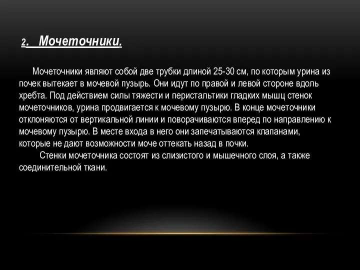 2. Мочеточники. Мочеточники являют собой две трубки длиной 25-30 см, по которым