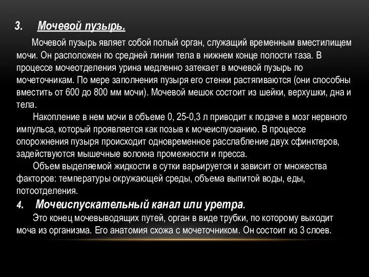 Мочевой пузырь. Мочевой пузырь являет собой полый орган, служащий временным вместилищем мочи.