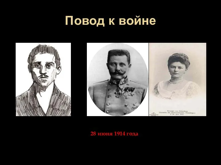 Повод к войне 28 июня 1914 года