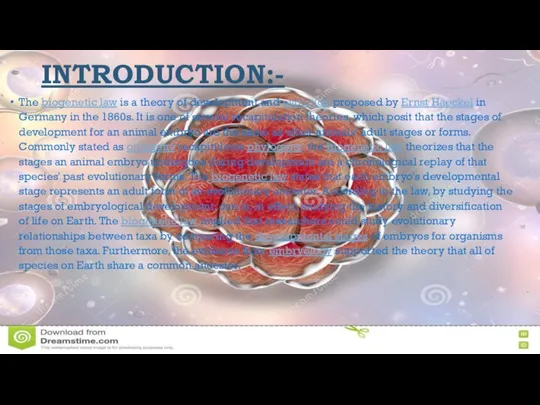 INTRODUCTION:- The biogenetic law is a theory of development and evolution proposed