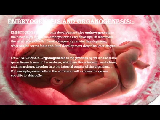 EMBRYOGENESIS AND ORGANOGENESIS:- EMBRYOGENESIS-Embryonic development also embryogenesis is the process by which