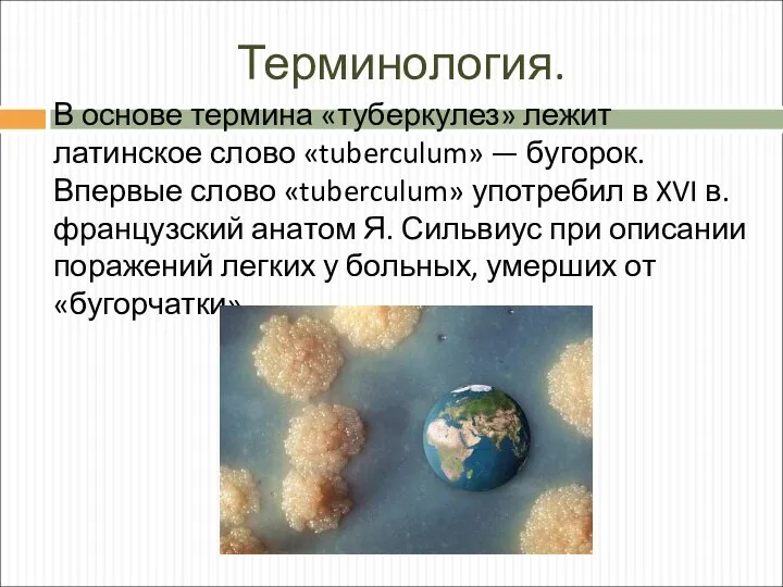 Терминология. В основе термина «туберкулез» лежит латинское слово «tuberculum» — бугорок. Впервые