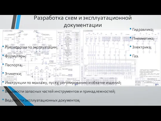 Разработка схем и эксплуатационной документации Руководства по эксплуатации; Формуляры; Паспорта; Этикетки; Инструкции