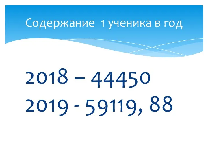 2018 – 44450 2019 - 59119, 88 Содержание 1 ученика в год