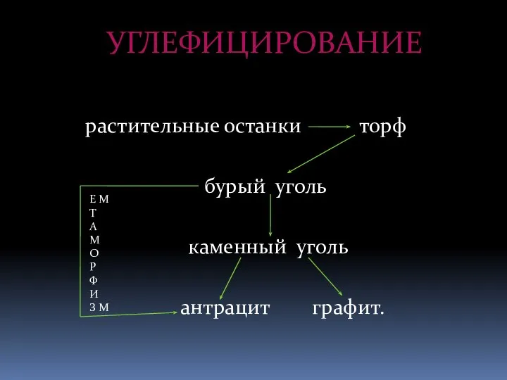 растительные останки торф бурый уголь каменный уголь антрацит графит. УГЛЕФИЦИРОВАНИЕ Е М