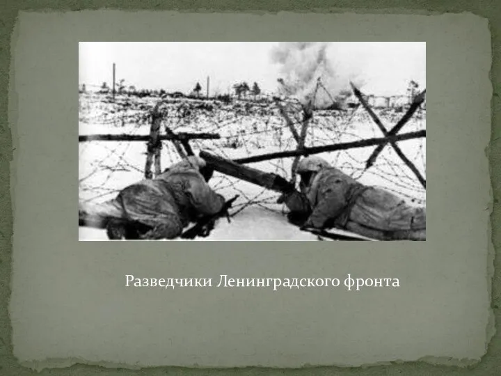 Разведчики Ленинградского фронта