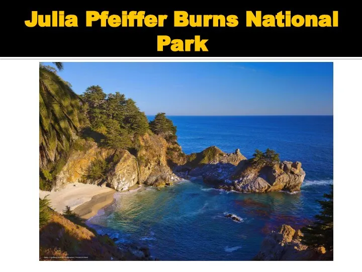 Julia Pfeiffer Burns National Park