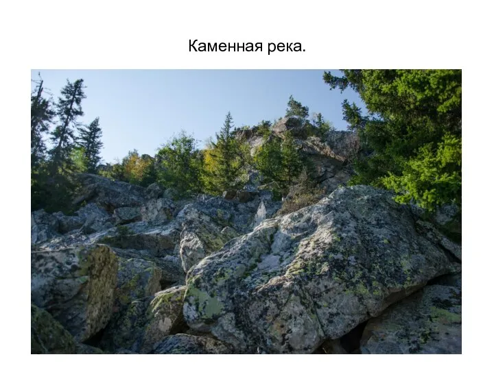 Каменная река.