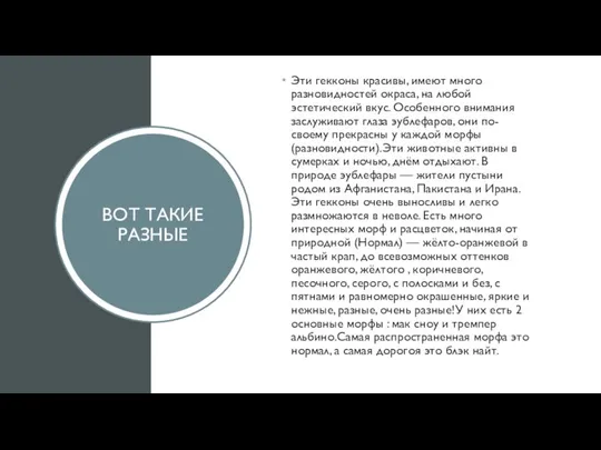 ВОТ ТАКИЕ РАЗНЫЕ Эти гекконы красивы, имеют много разновидностей окраса, на любой