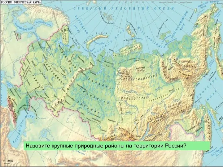 Назовите крупные природные районы на территории России?