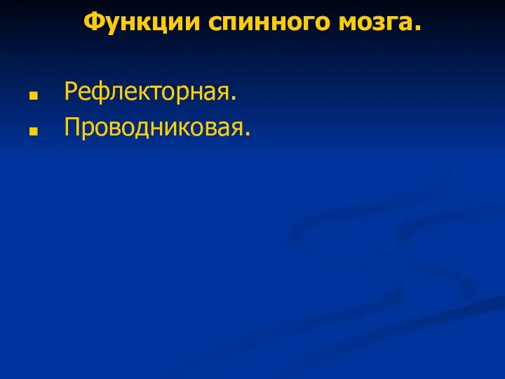 Функции спинного мозга. Рефлекторная. Проводниковая.