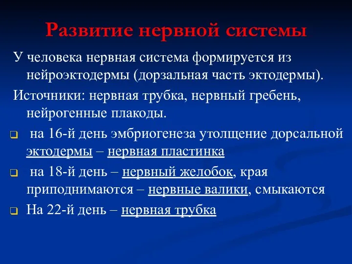 Развитие нервной системы У человека нервная система формируется из нейроэктодермы (дорзальная часть