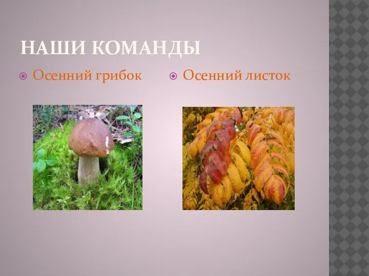 НАШИ КОМАНДЫ Осенний грибок Осенний листок