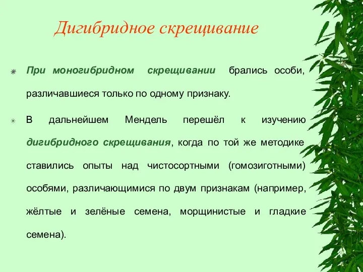 Дигибридное скрещивание При моногибридном скрещивании брались особи, различавшиеся только по одному признаку.