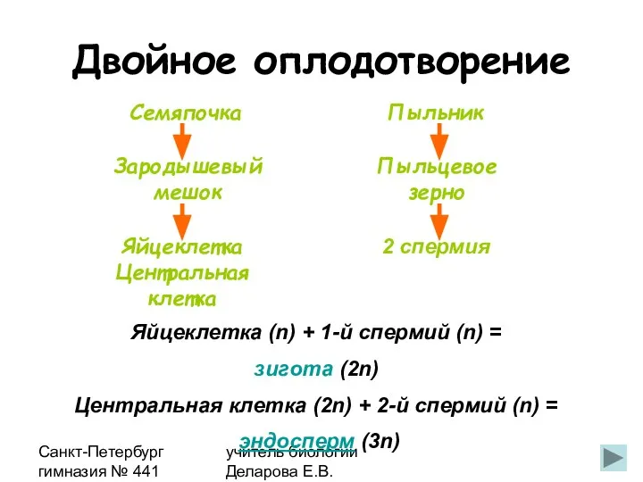 Санкт-Петербург гимназия № 441 учитель биологии Деларова Е.В. Двойное оплодотворение Яйцеклетка Центральная