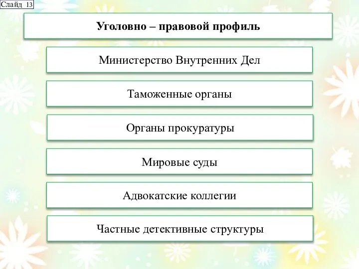 Уголовно – правовой профиль Министерство Внутренних Дел Таможенные органы Органы прокуратуры Мировые