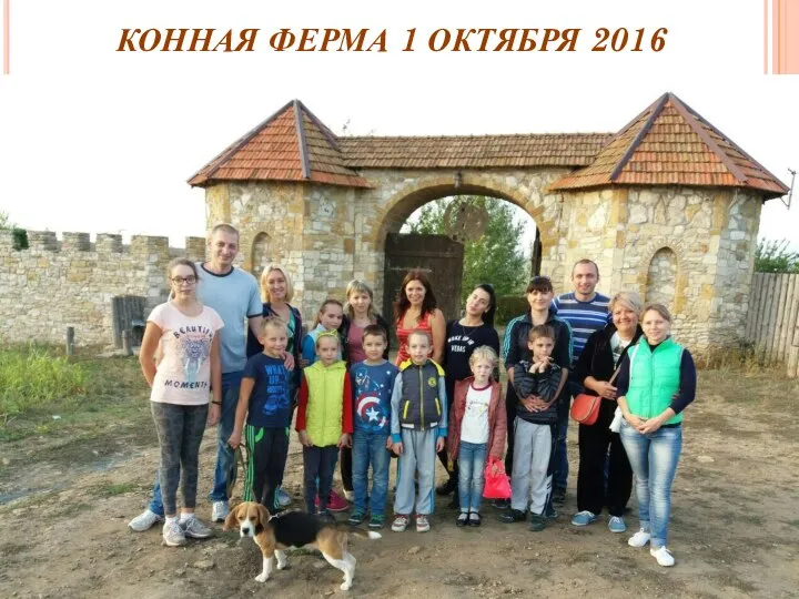 КОННАЯ ФЕРМА 1 ОКТЯБРЯ 2016