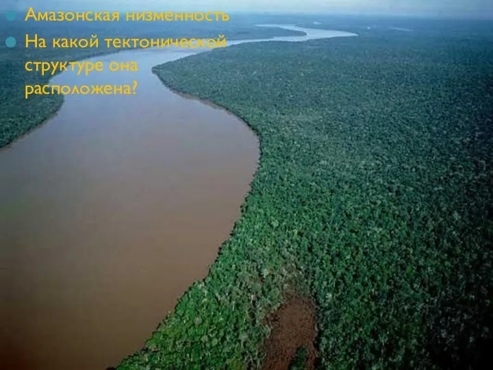 Амазонская низменность На какой тектонической структуре она расположена?