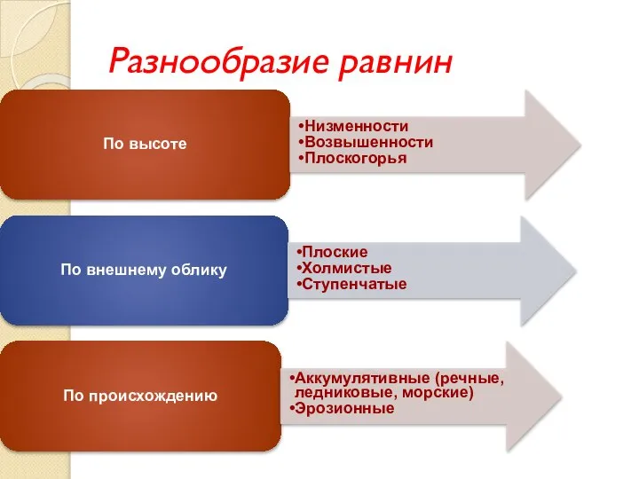 Разнообразие равнин По высоте Низменности Возвышенности Плоскогорья По внешнему облику Плоские Холмистые