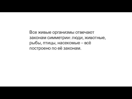 Все живые организмы отвечают законам симметрии: люди, животные, рыбы, птицы, насекомые –