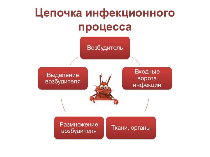 Цепочка инфекционного процесса