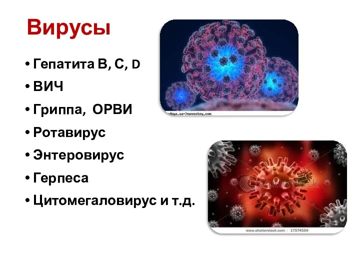 Вирусы Гепатита В, С, D ВИЧ Гриппа, ОРВИ Ротавирус Энтеровирус Герпеса Цитомегаловирус и т.д.