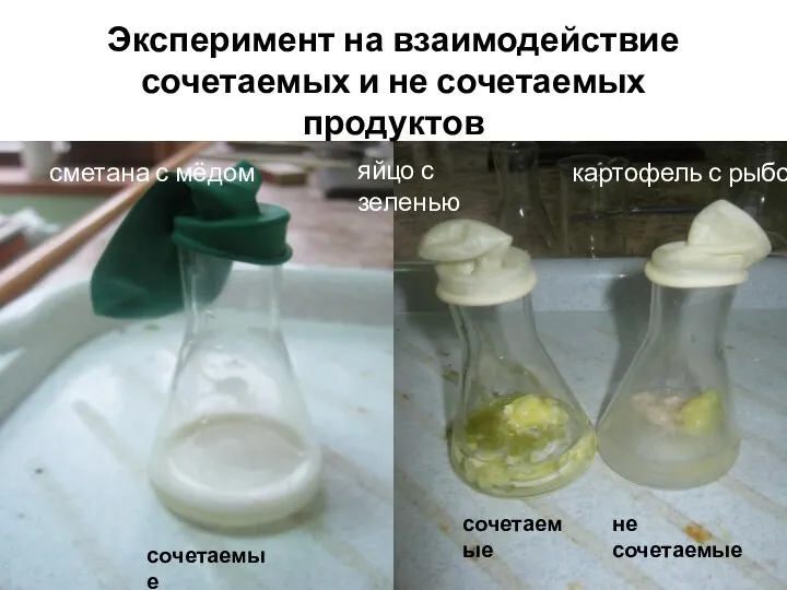 Эксперимент на взаимодействие сочетаемых и не сочетаемых продуктов картофель с рыбой сметана