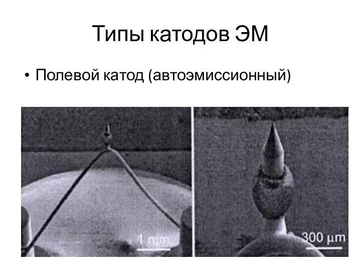 Типы катодов ЭМ Полевой катод (автоэмиссионный)