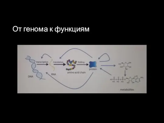 От генома к функциям