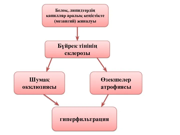 Белок, липидтердің капилляр аралық кеңістікте (мезангий) жиналуы Бүйрек тінінің склерозы Шумақ окклюзиясы Өзекшелер атрофиясы гиперфильтрация