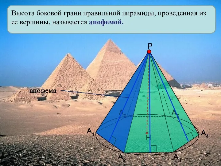 Высота боковой грани правильной пирамиды, проведенная из ее вершины, называется апофемой. А1