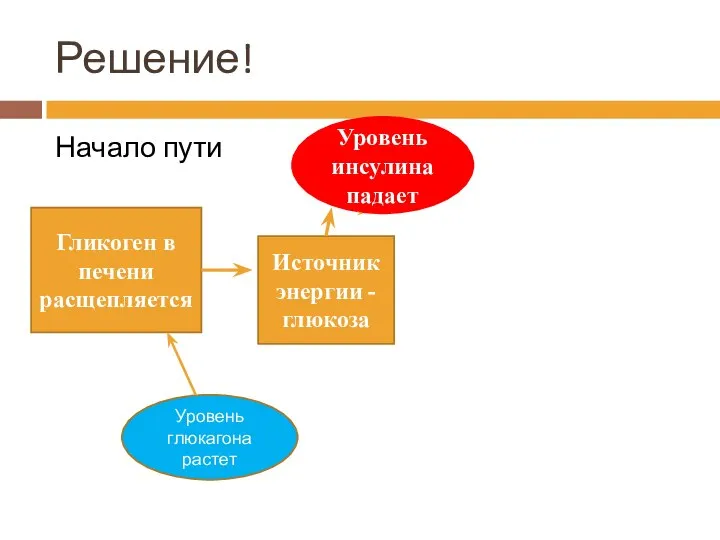 Решение! Начало пути Источник энергии - глюкоза Уровень инсулина падает Уровень глюкагона