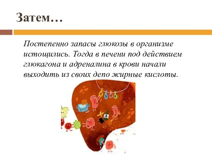 Затем… Постепенно запасы глюкозы в организме истощились. Тогда в печени под действием