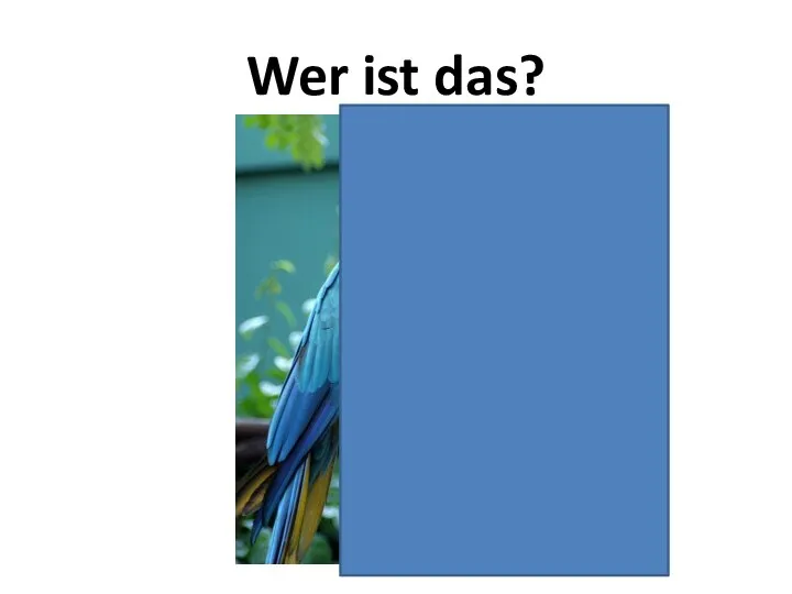 Wer ist das?