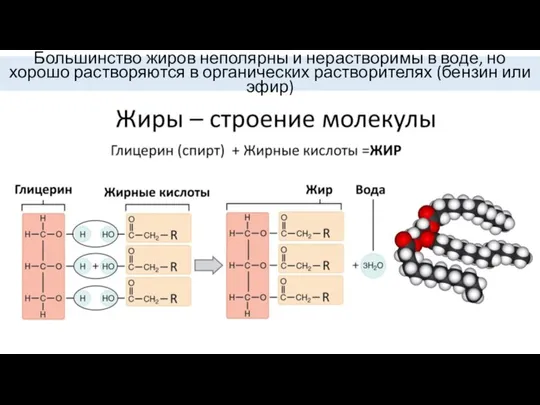 Большинство жиров неполярны и нерастворимы в воде, но хорошо растворяются в органических растворителях (бензин или эфир)