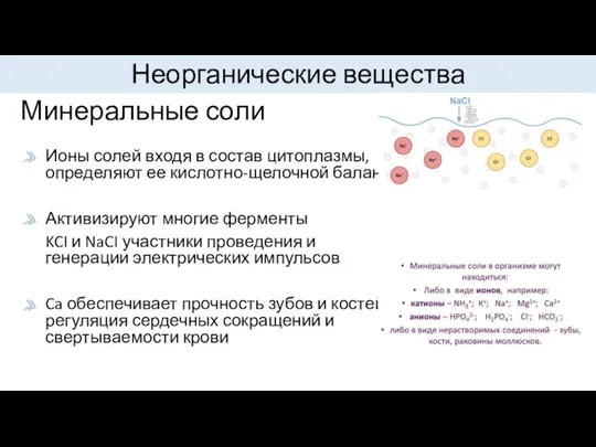 Минеральные соли Ионы солей входя в состав цитоплазмы, определяют ее кислотно-щелочной баланс