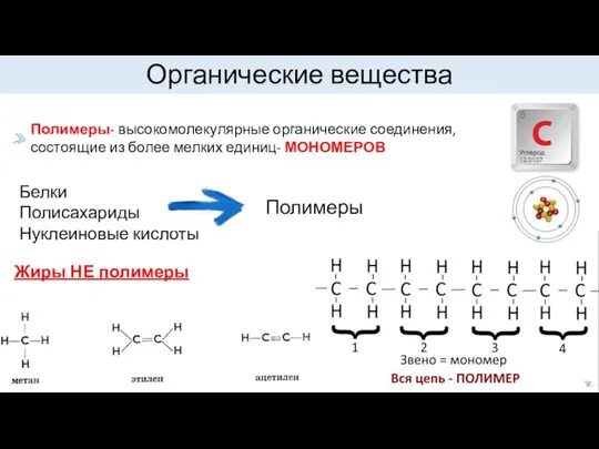Органические вещества Полимеры- высокомолекулярные органические соединения, состоящие из более мелких единиц- МОНОМЕРОВ