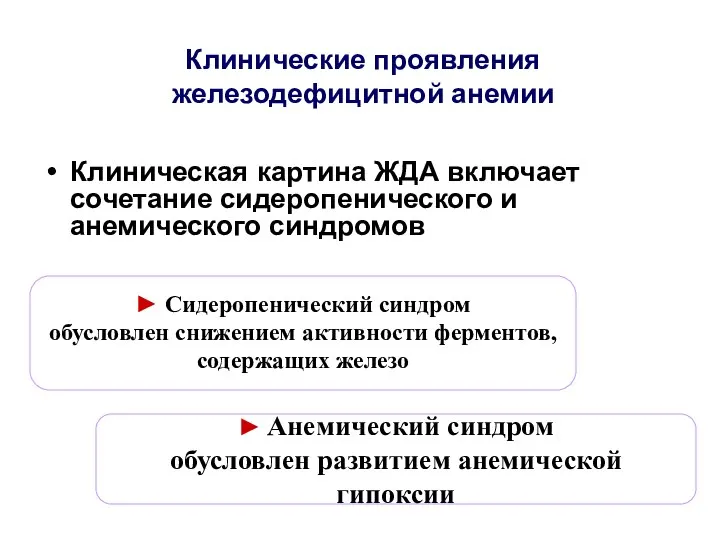 Клинические проявления железодефицитной анемии Клиническая картина ЖДА включает сочетание сидеропенического и анемического